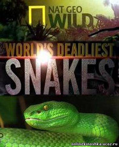Самые опасные змеи в мире / World's deadliest snakes (2010) смотреть фильм онлайн