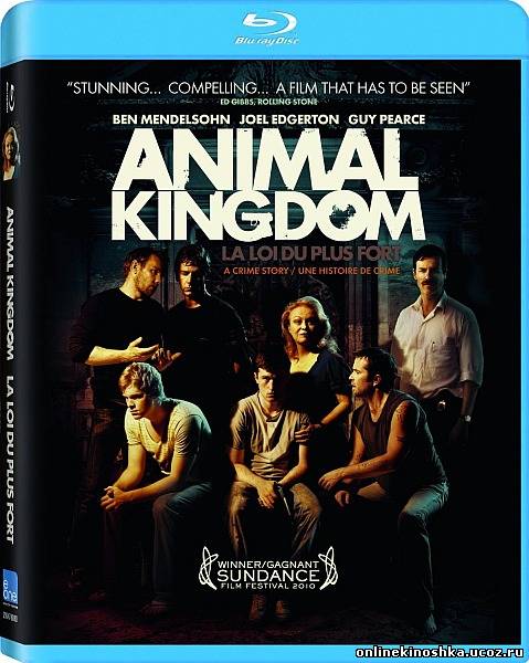 По волчьим законам / Animal Kingdom смотреть фильм онлайн